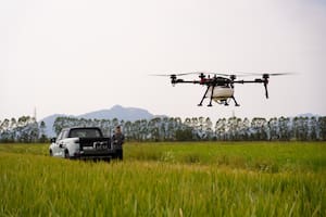 Cada vez hay más drones agrícolas y aumenta la demanda de seguros para protegerlos