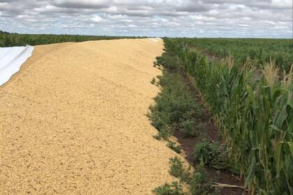 El vandalismo sucedió en la localidad de Jovita, Córdoba