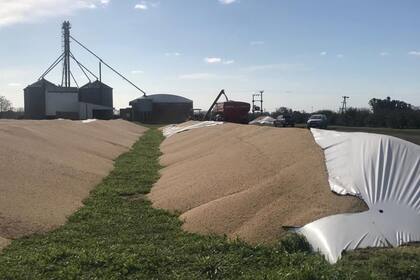 El vandalismo sufrido por el productor de Lobos