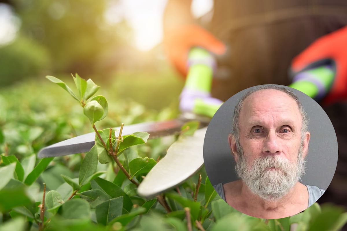 El vecino, de 78 años, justificó su manera de actuar al contar que el hombre que podaba el jardín tenía antecedentes penales