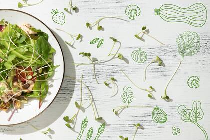 El veganismo es mucho más que una corriente de alimentación. Es, directamente, una filosofía en sí misma.