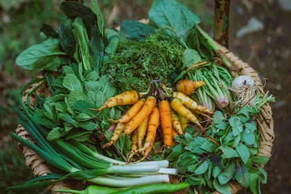 El vegetal rico en magnesio que ayuda a combatir el estrés diario