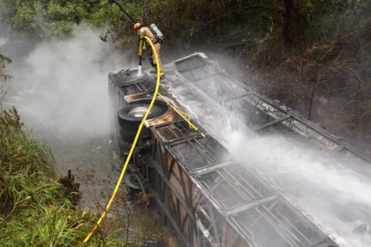 TRAGEDIA EN CUENCA: Colectivo se precipita a un abismo