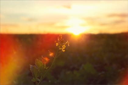 El verano boreal comenzará en Estados Unidos el 21 de junio con el solsticio, que es el día más largo del año en el hemisferio norte