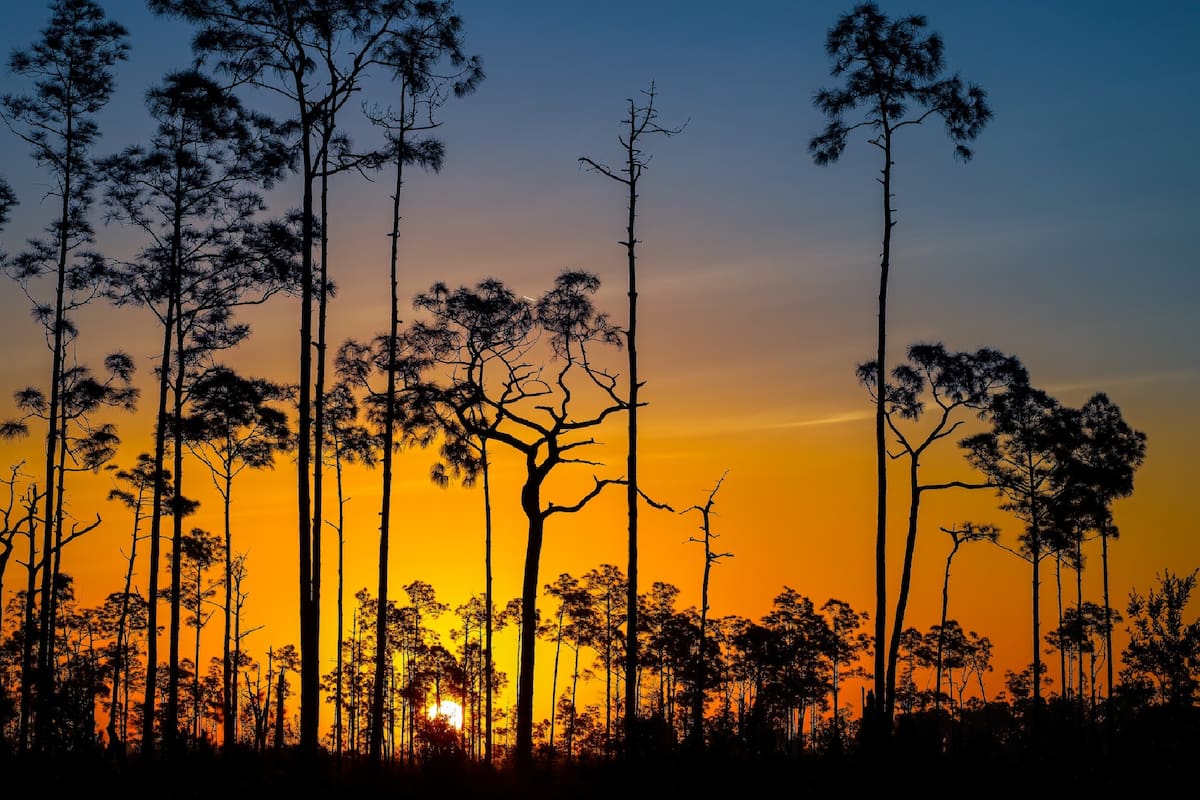 El verano en Florida comenzó el 21 de junio y está próximo a terminar (la foto es ilustrativa)
