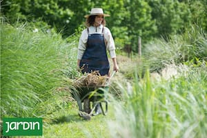 El verano es una oportunidad para diseñar con sensibilidad un jardín que ofrezca durante mucho tiempo