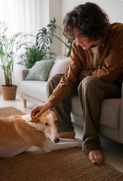 El verdadero motivo detrás de la euforia de tu perro cuando volvés (Foto: Freepik)