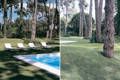 Rodeados por agapantos, del césped perfecto surgen los pinos añosos que le dan a la casa y el jardín un clima verdaderamente único