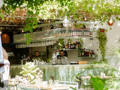 El verde es predominante en Chill Garden
