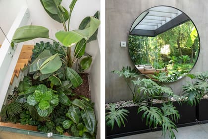 El verde llevado al interior de la casa rompe los límites entre interior y exterior. El espejo circular contra la pared del quincho es una “trampa para el ojo”, permite ver siempre verde, no importa dónde te sientes
