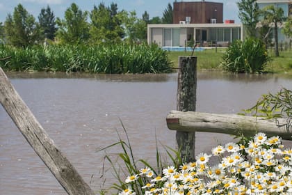 El verde y el agua son las estrellas de los nuevos emprendimientos con aires campestres y confort urbano