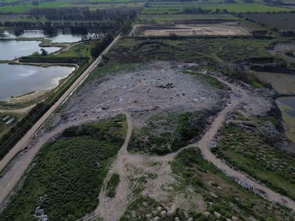 El verde ya cubre buena parte del predio, alrededor de la "la zona de sacrificio"; los vecinos refieren que ya no llegan olores ni humo