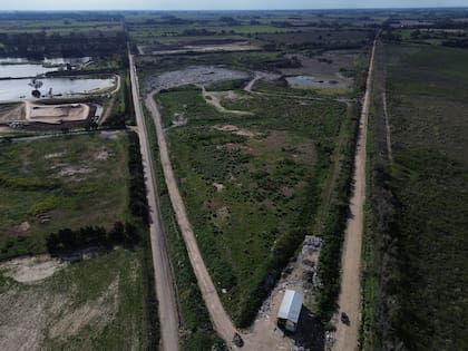 El verde ya cubre buena parte del predio y los vecinos refieren que ya no llegan olores ni humo