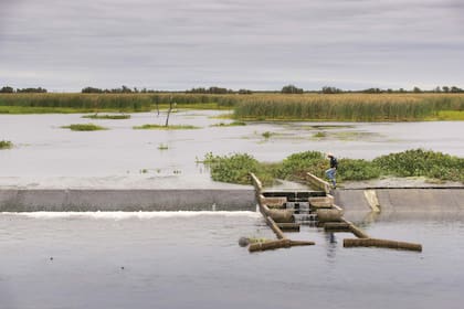 El Vertedero, sobre la RP 28, es otro de los accesos al Bañado