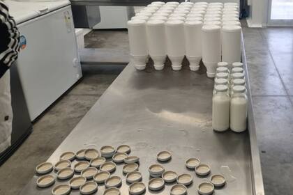 El veterinario dijo que hoy cuenta con una startup en Villa María con “300 burras en ordeñe”: “La leche se vende congelada y pasteurizada, y en poco tiempo más se va a ofrecer también liofilizada; cada burra produce en promedio “medio litro diario, muy poco pero de excelente calidad”