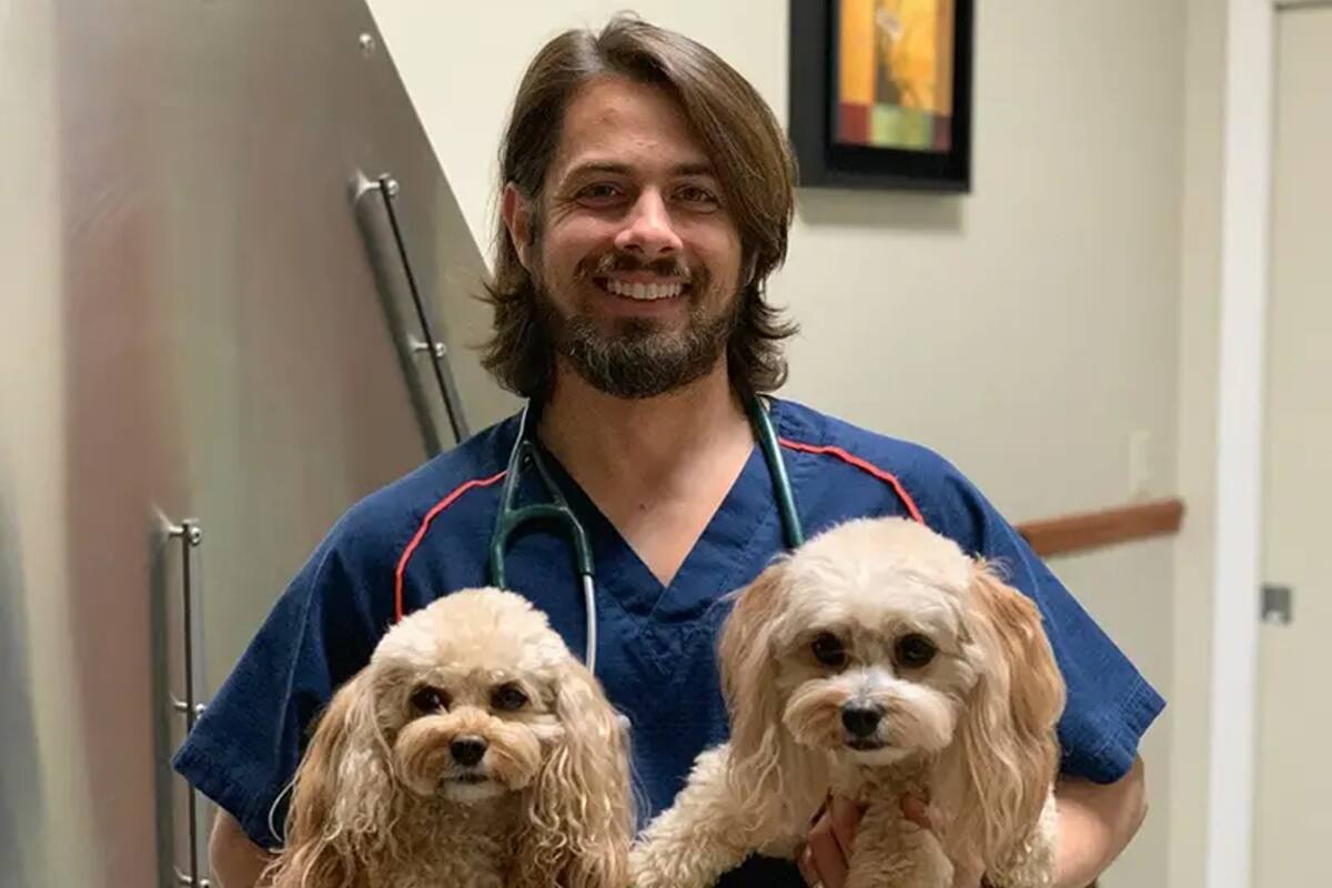 El veterinario Lera explicó que los síntomas más frecuentes en perros son parásitos son diarrea, vómitos y letargo