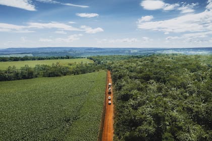 El viaje a través del cerrado brasileño fue una hazaña.