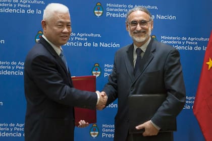 El viceministro chino Li Guo y Basterra