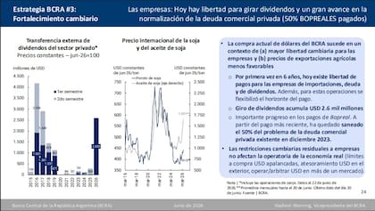 El vicepresidente del BCRA destacó que las empresas ya giraron al exterior US$2600 millones en dividendos durante el primer semestre y afirmó que el proceso de normalización cambiaria avanza junto con el saneamiento de la deuda comercial privada.
