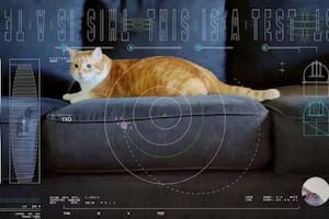 El video de 15 segundos de un gato logró una comunicación récord (Captura: NASA)
