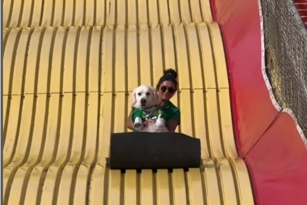 El video de Charmin y su dueña en un tobogán se viralizó en las redes sociales