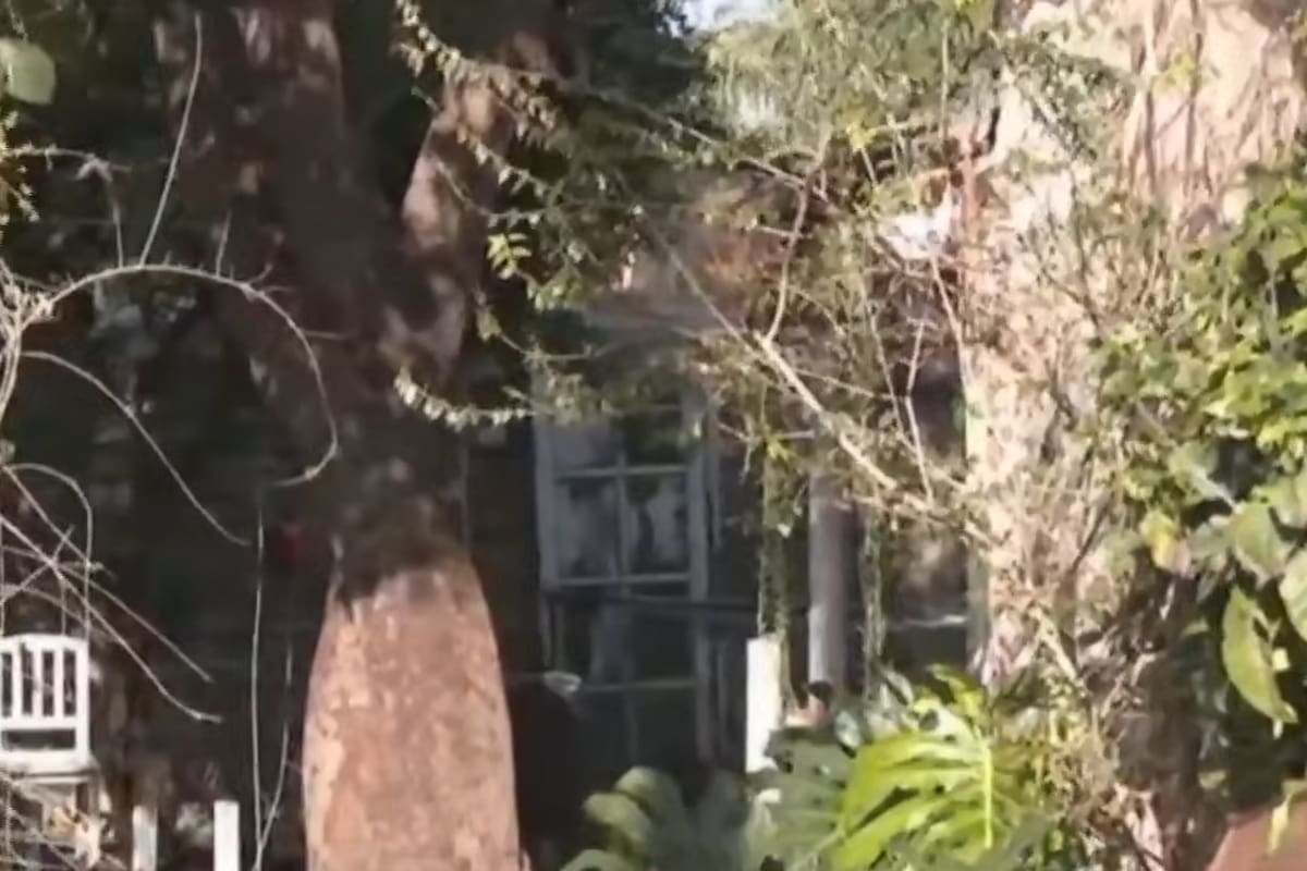 El video de la casa ubicada en Florencio Varela, donde hallaron los restos de las tres chicas de La Matanza que la policía buscaba desde el viernes