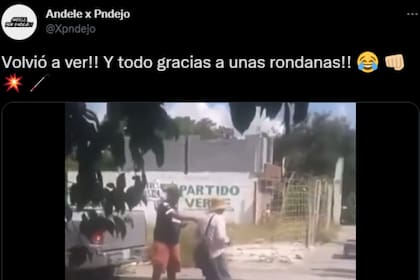 El video de la pelea se viralizó (Captura Twitter)