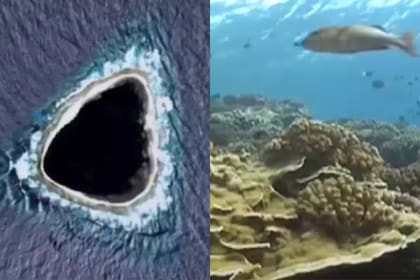 El video de un buzo que muestra un misterioso "agujero" oculto en Google Maps