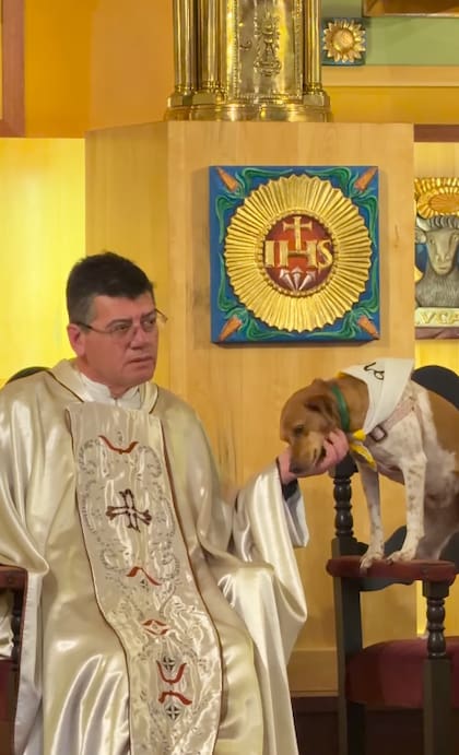El video del padre Germán y su perrita Nina despertó ternura en las redes sociales (Captura: Instagram @francarranzaok)