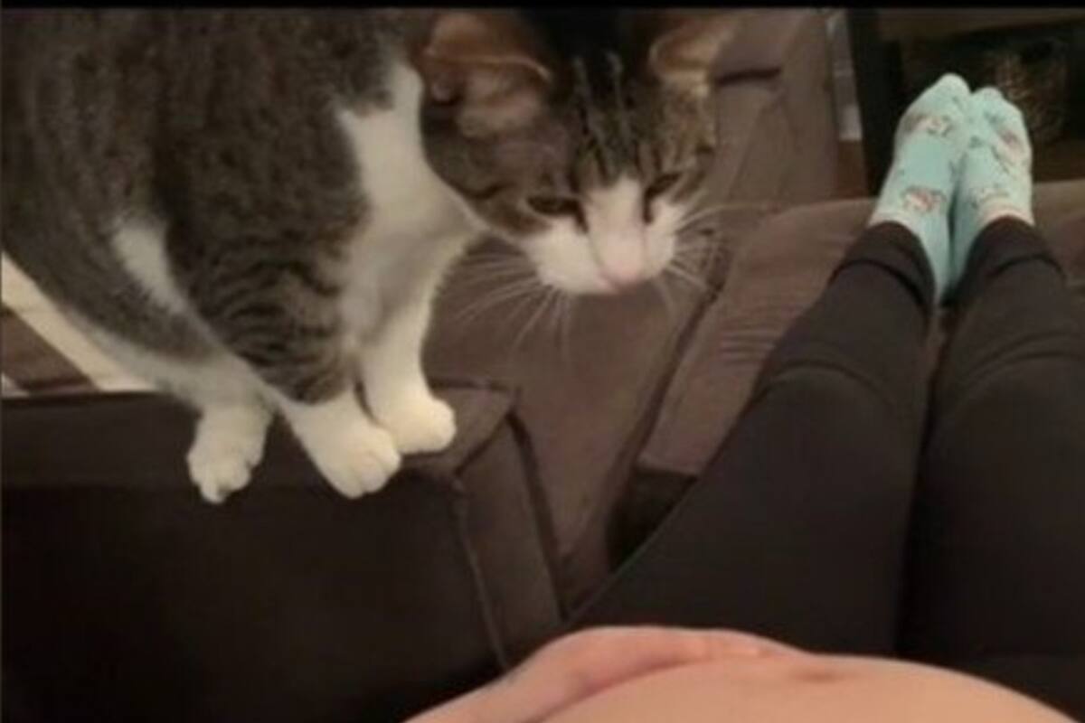 El video del tierno momento acumula más de seis millones de reproducciones