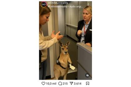 El video esperando subir a un avión fue publicado originalmente por la cuenta de Instagram de Infiniteunreality y, claro está, fue generado por un modelo de IA