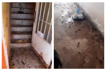 El video fue publicado sin audio por las arcadas que se oyen de fondo