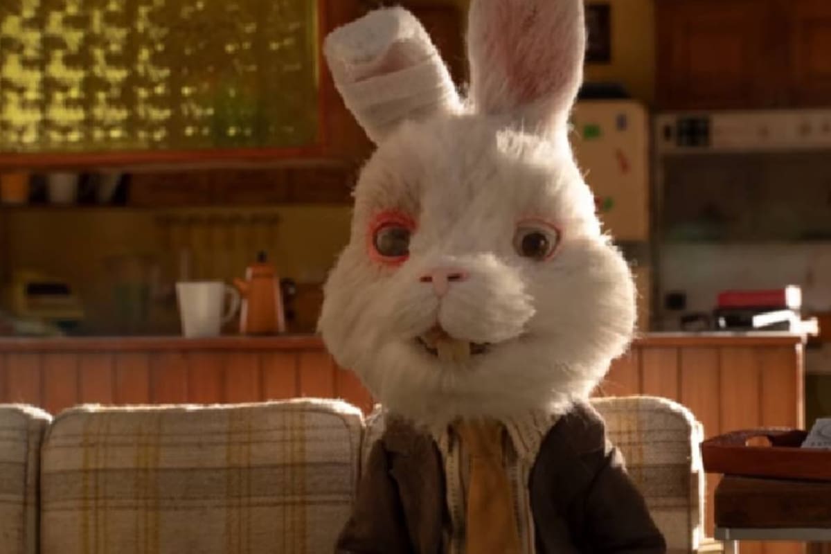 El video generó conmoción en las redes sociales al mostrar los daños que sufren los animales que son sometidos a estos procedimientos