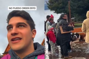 El video que causó enojo en las redes sociales por la explotación de un perro San Bernardo en Bariloche