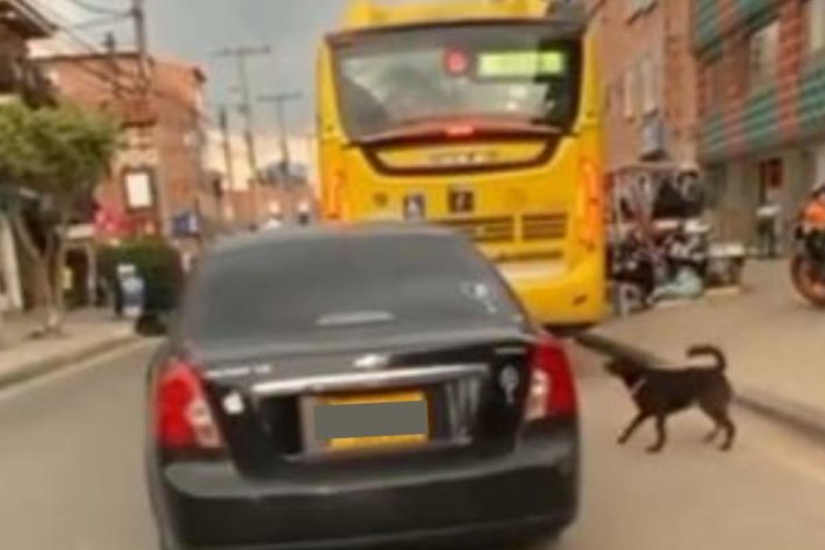 El video, que fue grabado por un motociclista, despertó indignación (Foto: Twitter @PlataformaALTO)