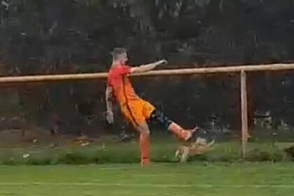 El video se viralizó en las redes y organizaciones amantes de los animales quieren que vaya preso