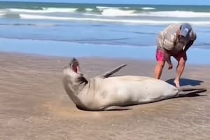 El video se viralizó rápidamente en las redes sociales