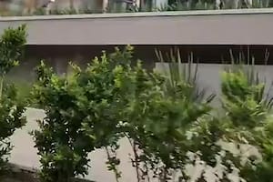 El video viral de las oficinas de Globant
