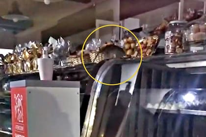 El video viral de una rata en una panadería de San Justo