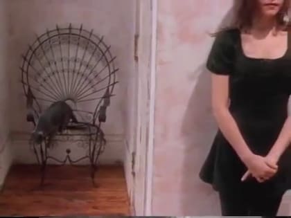 El videoclip no solo catapultó a Loeb a la fama, sino también a Mardot, el gato de Ethan Hawke, que cruzó por accidente frente a la cámara (Foto: Captura YouTube)