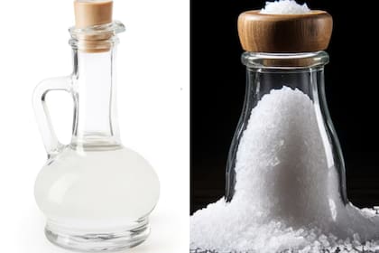 El vinagre blanco y la sal son dos grandes aliados para mantener la limpieza del horno