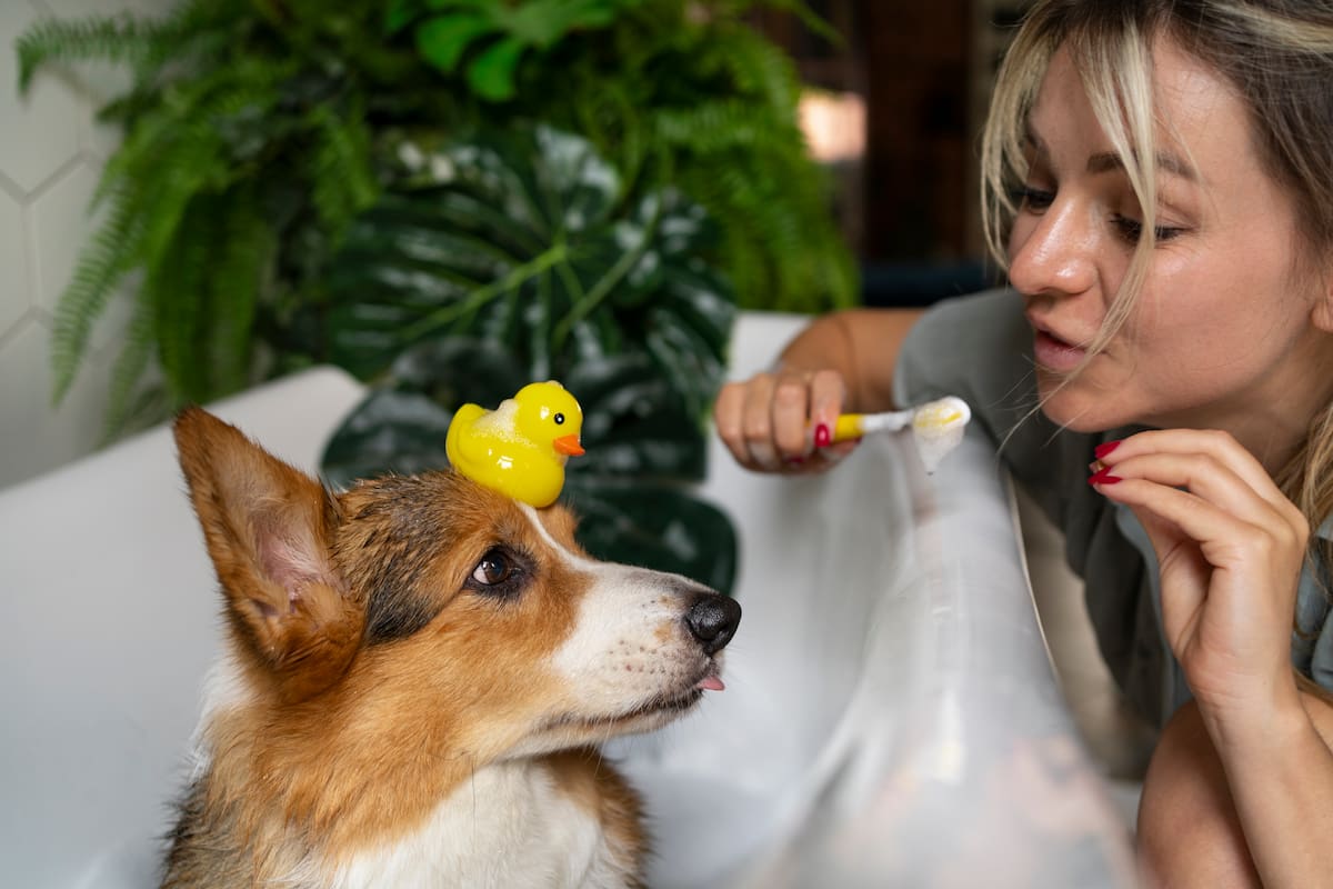 El vínculo con los perros refleja un afecto mutuo (Foto: Freepik)