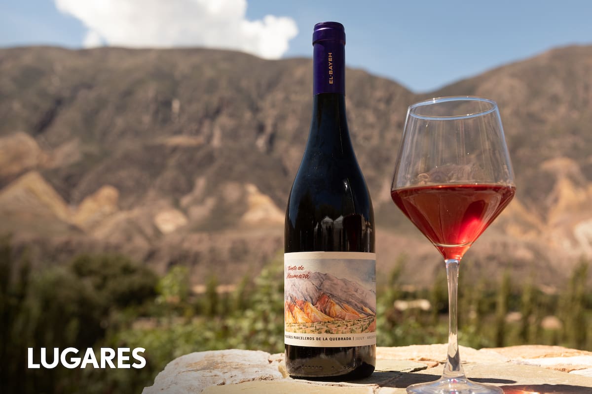 El vino emblema de El Bayeh, Pequeños Parceleros.