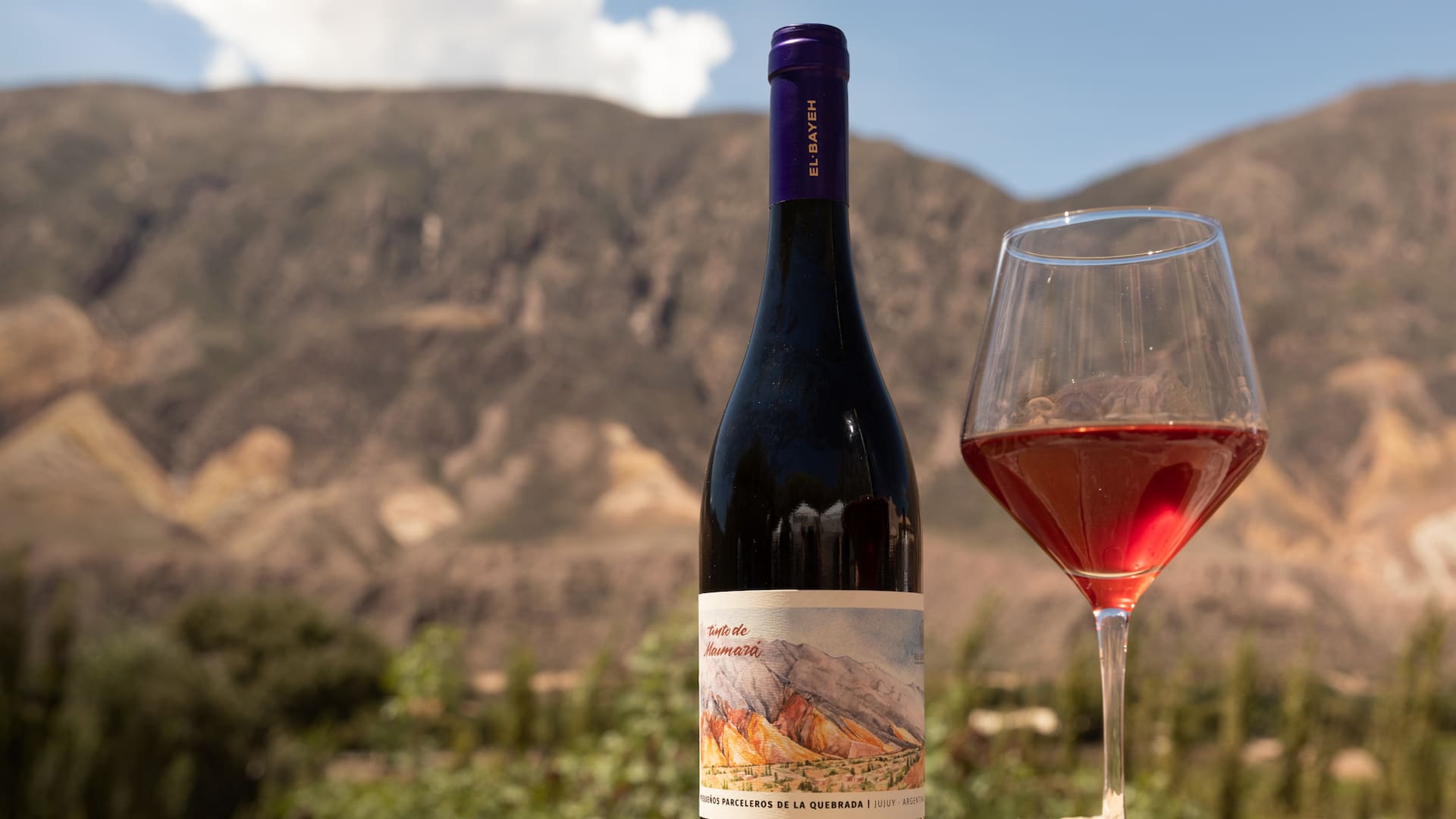 El vino emblema de El Bayeh, Pequeños Parceleros.