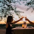 Siete vinos rosados para descubrir una categoría que cambió de color y estilo