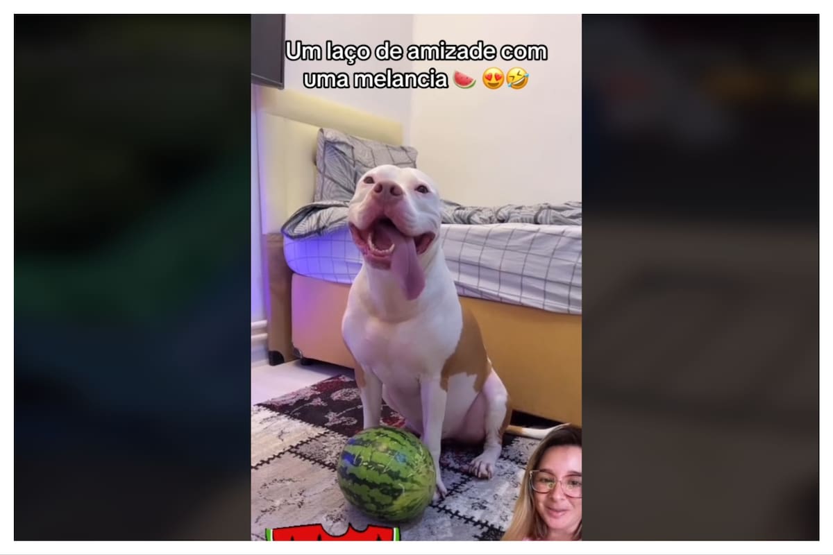 El viral video se ganó el cariño de millones de personas en las redes sociales