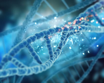 El virus AR2015, diseñado a partir de un adenovirus común, eliminó metástasis hepáticas de cáncer colorrectal en modelos animales y podría aplicarse a otros tumores gastrointestinales