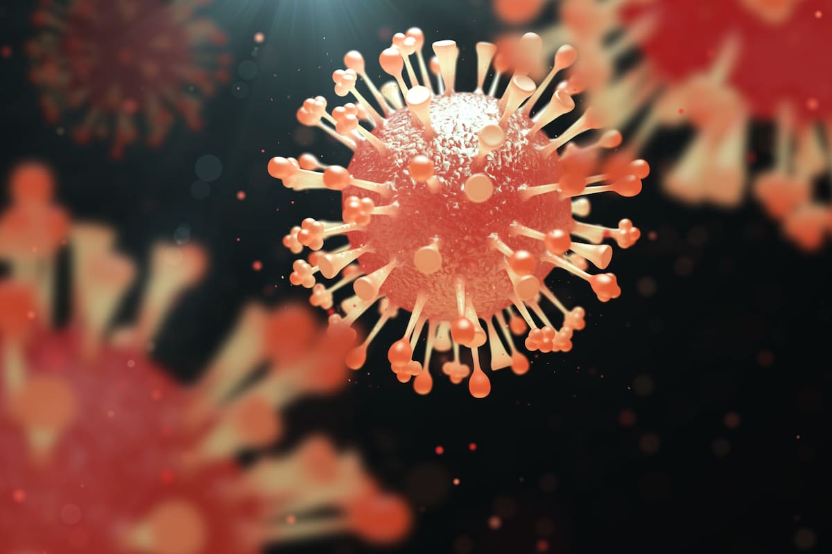 El virus de la influenza