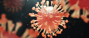 Se registran brotes de hepatitis A, tos convulsa, tuberculosis y gripe: qué hay detrás