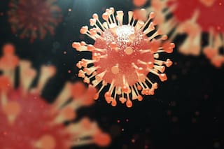 Se registran brotes de hepatitis A, tos convulsa, tuberculosis y gripe: qué hay detrás